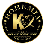 Bohemiak